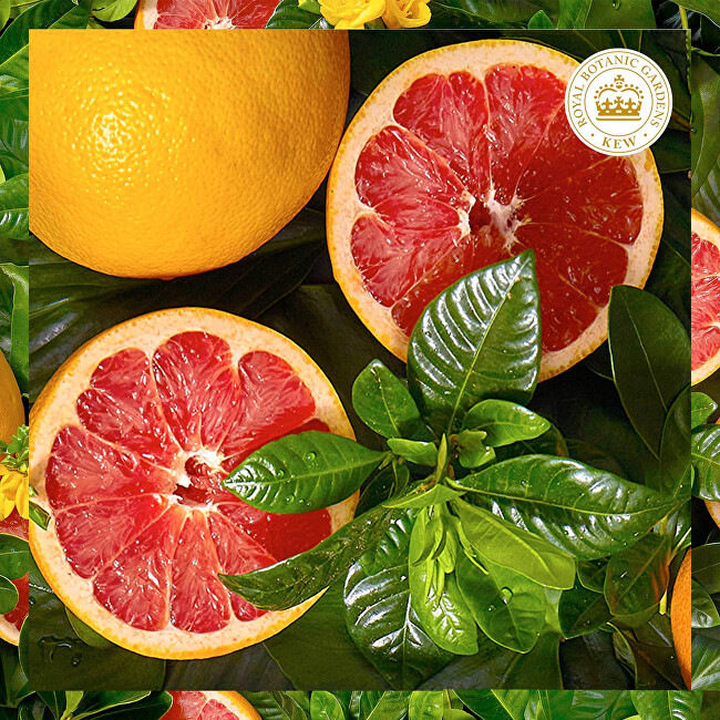 Herbal Essences White Grapefruit Lifeless Matte Balm ( Volume Conditioner) 275ml plaukų balzamas