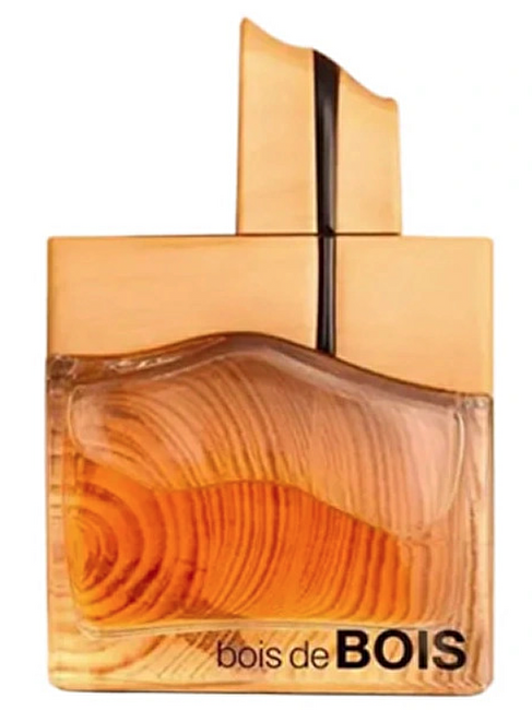 Fragrance World Bois De Bois - EDP 100ml Kvepalai Vyrams EDP