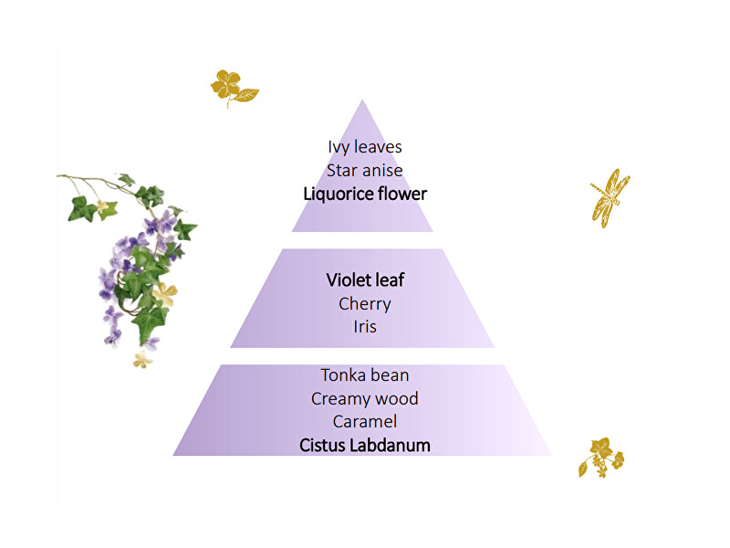 Maison Berger Paris Gift set of car diffuser Gun metal + refill Lolita Lempicka namų kvapas