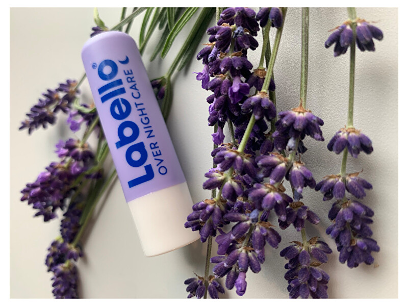 Labello Lip balm Overnight Care 4.8 g lūpų balzamas