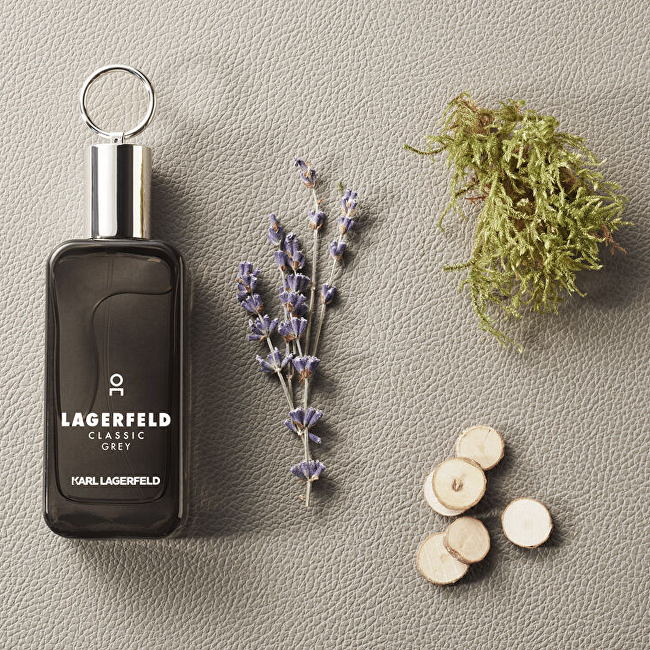 Karl Lagerfeld Classic Grey - EDT 100ml kvepalai Vyrams