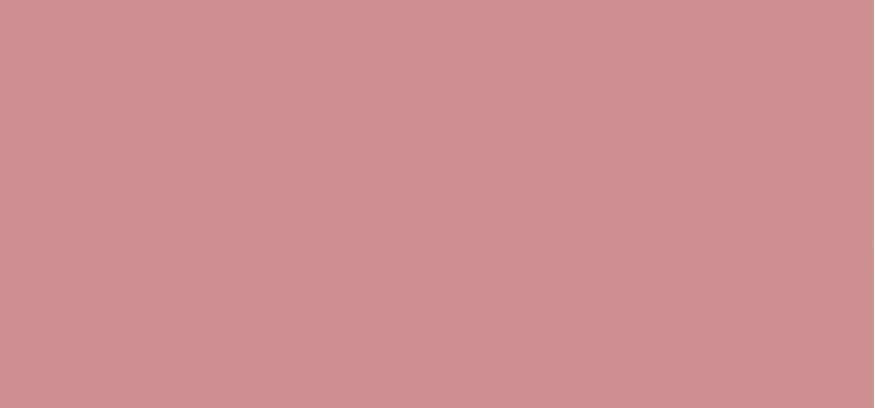 Max Factor Velvet Matte Lipstick 3.5 g 05 Nude lūpdažis