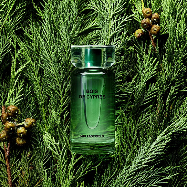 Karl Lagerfeld Bois De Cypr&egrave;s - EDT 100ml kvepalai Vyrams