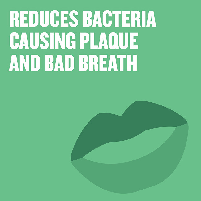 Listerine Fresh Burst anti-plaque mouthwash 250ml Dantų emalį stiprinanti priemonė