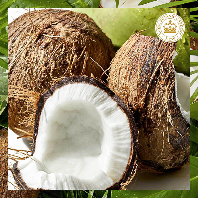 Herbal Essences Coconut Milk Moisturizing Balm ( Hydrate Conditioner) 275ml plaukų balzamas