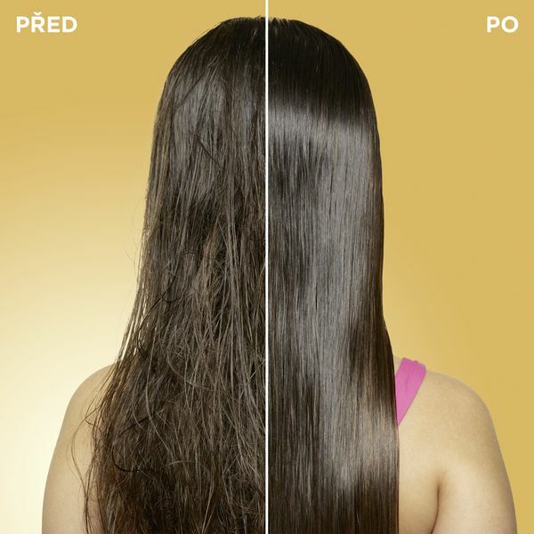 Garnier Shampoo and conditioner The Lion King Botanic Therapy Apricot (Shampoo & Detangler) 400 ml 400ml plaukų balzamas