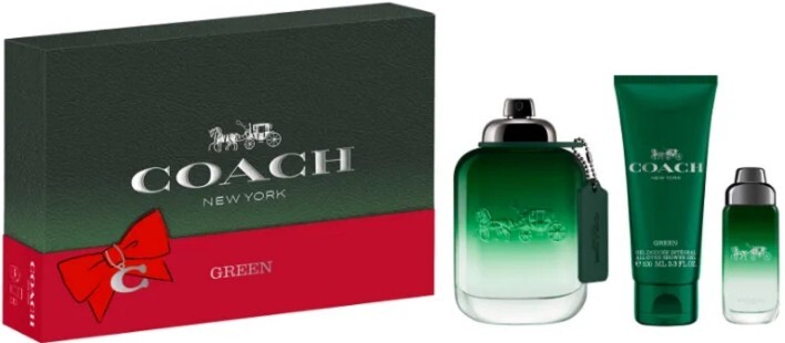 Coach Coach Green - EDT 100 ml + sprchov&yacute; gel 100 ml + EDT 15 ml 100ml Vyrams