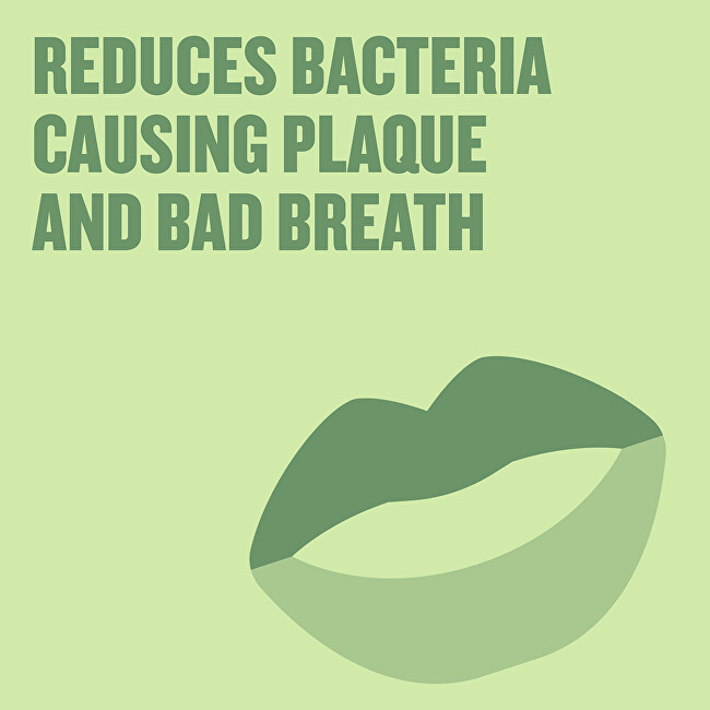 Listerine Mouth-Free Mouthwash Green Tea (Mouth Wash) 500 ml 500ml Dantų emalį stiprinanti priemonė