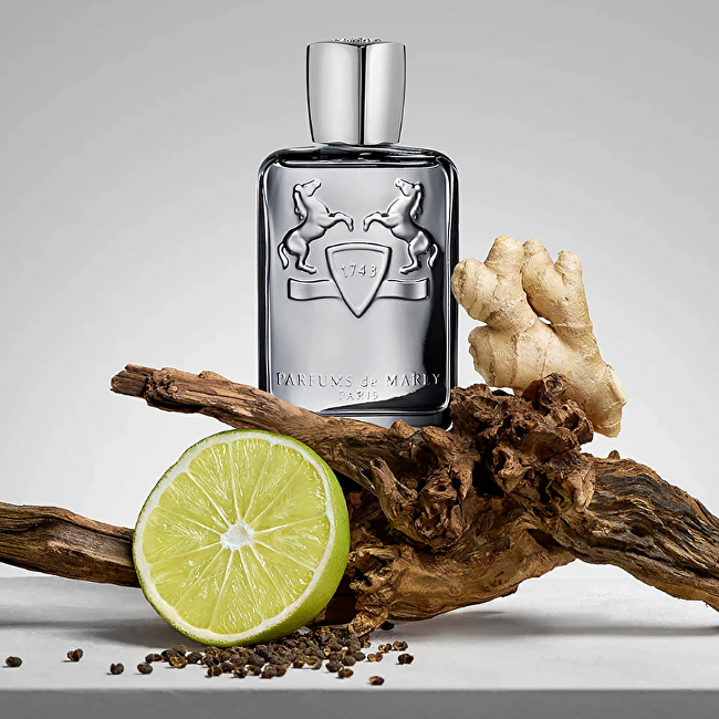 Parfums de Marly Castley - EDP 125ml NI&Scaron;INIAI Kvepalai Vyrams