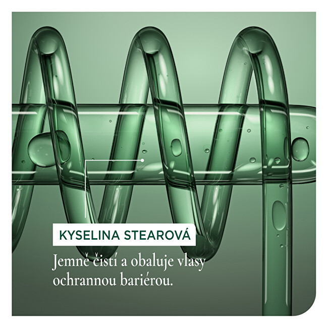 Biolage Conditioner for colored hair (ColorLast Conditioner) 500ml plaukų balzamas