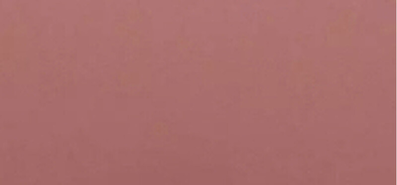 Essence Nail polish Gel Nail 8 ml 08 The Final Rose nagų lakas