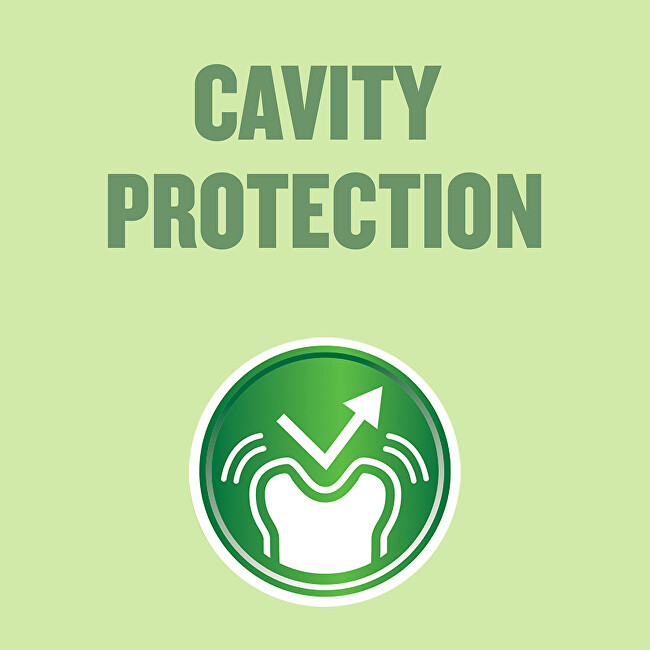 Listerine Mouth-Free Mouthwash Green Tea (Mouth Wash) 500 ml 500ml Dantų emalį stiprinanti priemonė