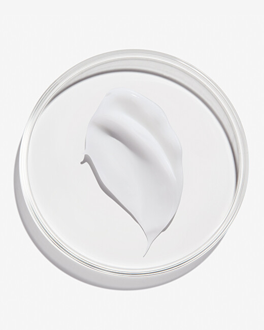 Redken Frizz Dismiss Smoothing Cream (Rebel Tame Heat Protective Crem) 250ml plaukų apsauga nuo kar&scaron;čio