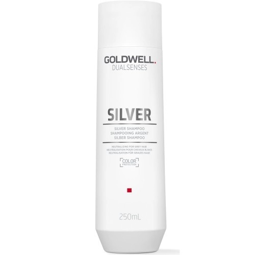 Goldwell Shampoo for blonde and gray hair Dualsenses Silver (Silver Shampoo) 250 ml 250ml Moterims