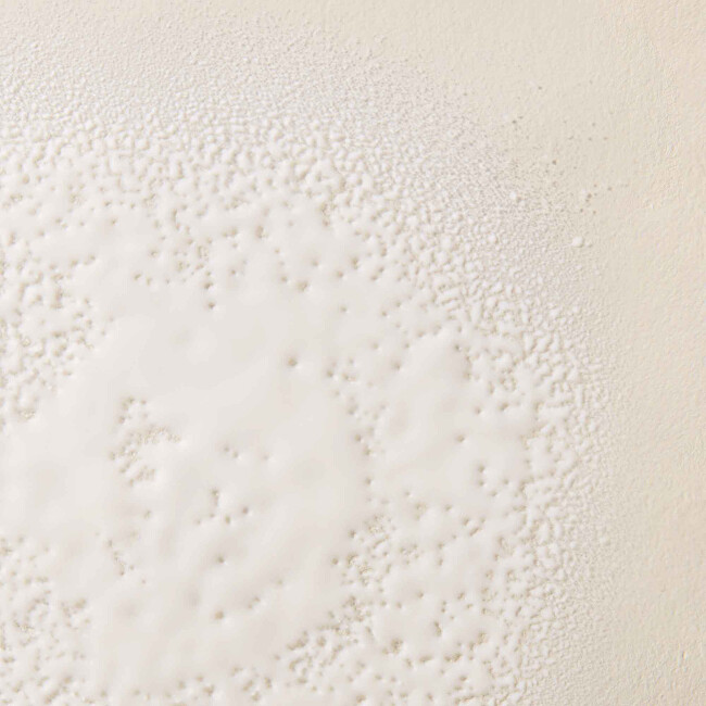 Living Proof Smoothing styling spray for frizzy hair No Frizz (Smooth Styling Spray) 200 ml 200ml plaukų apsauga nuo kar&scaron;čio