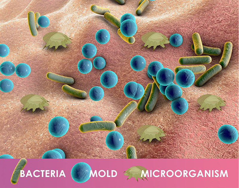 BeautyRelax PlasmaForce cosmetic device for mature skin vietinės priežiūros priemonė