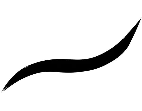 Max Factor Liquid eyeliner Masterpiece (Matte Liquid Eyeliner) 1.7 ml 001 akių kontūras