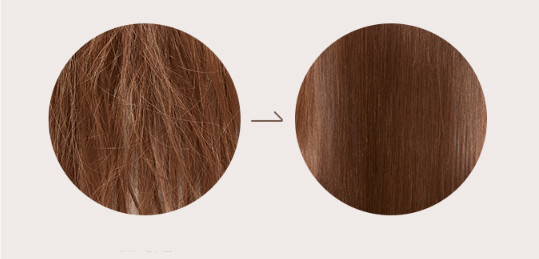 Missha Serum for damaged hair Damaged Hair Therapy (Essence) 100 ml 100ml atstatomoji plaukų priežiūros priemonė