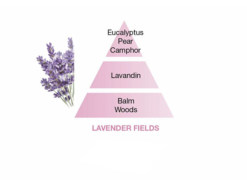 Maison Berger Paris Catalytic lamp refill Lavander Fields (Lampe Recharge/Refill) 500 ml 500ml namų kvapas