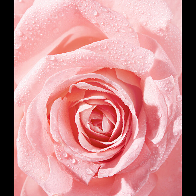 Nivea Rose Touch (Waterproof Eye Make-Up Remover) 100 ml 100ml makiažo valiklis