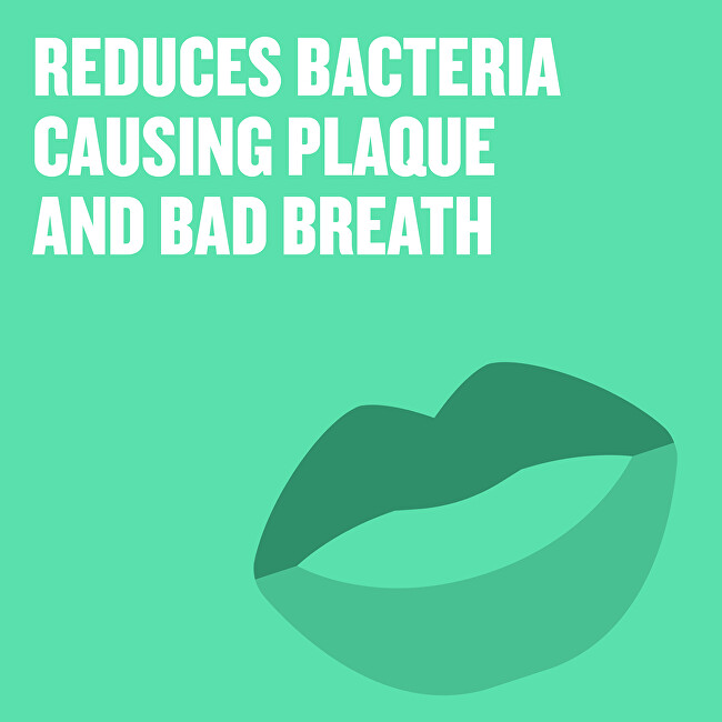 Listerine Mouthwash Clean & Fresh Mild Taste 500 ml 500ml dantų skalavimo skystis