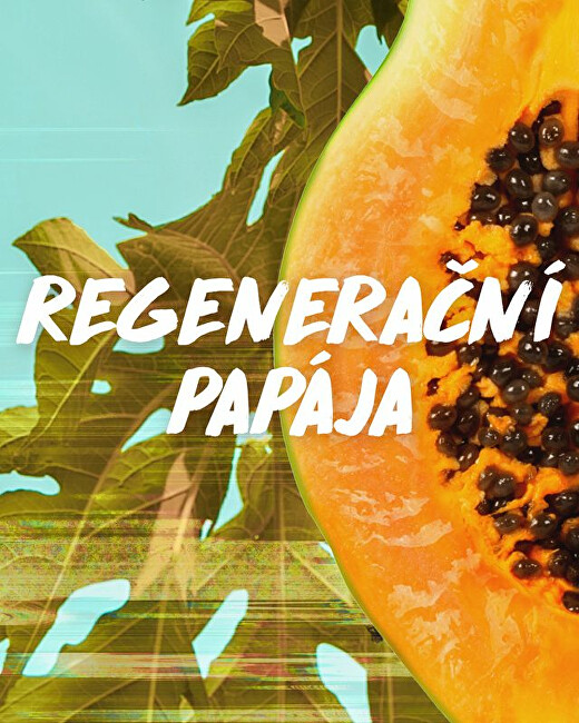 Garnier Fructis Hair Food Regenerating Conditioner for Damaged Hair ( Papaya Repair ing Conditioner) 350 ml 350ml plaukų balzamas