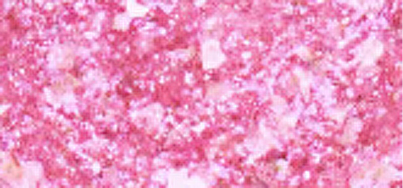 Essence Nail polish Gel Nail 8 ml 23 Pinktastic nagų lakas