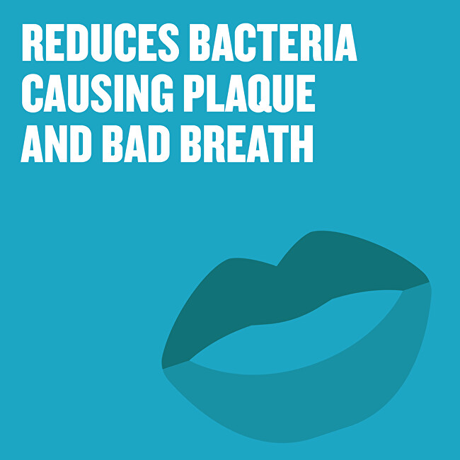 Listerine Mouthwash on plaque Coolmint 250ml dantų skalavimo skystis