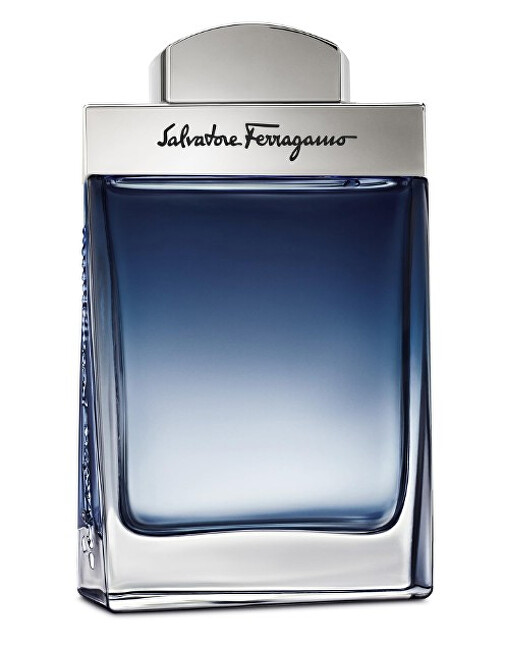 Ferragamo Subtil Pour Homme Eau De Toilette Kvepalai Vyrams