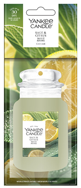 Yankee Candle Paper tag Classic Sage & Citrus 1 pc. automobilio gaiviklis