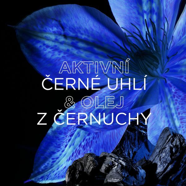 Garnier Moisturizing conditioner for oily hair and dry hair ends Botanic Therapy Magnetic Charcoal ( Balanci 200ml plaukų balzamas