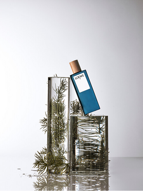 Loewe 7 - EDT 100ml kvepalai Vyrams EDT