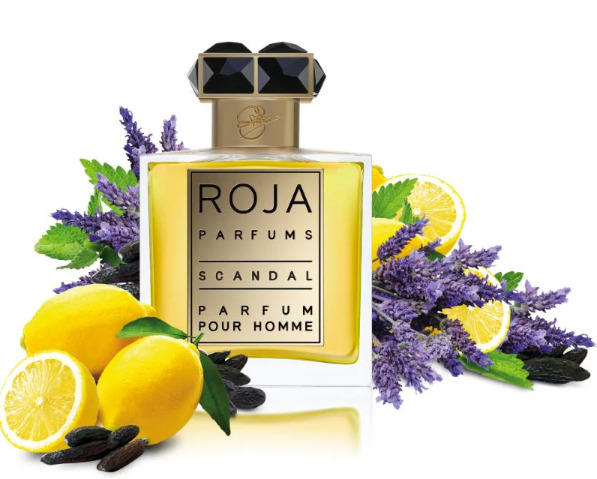 Roja Scandal Pour Homme - parf&eacute;m 50ml kvepalai Vyrams