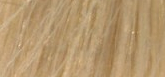 Goldwell Hair color Topchic (Permanent Hair Color) 250 ml 10V plaukų dažai