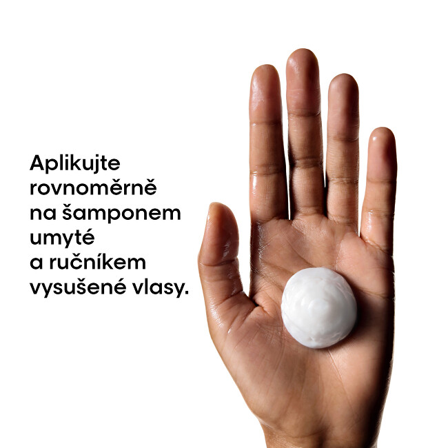 L'Or&eacute;al Professionnel Mask for colored and damaged hair, for hair shine, long-lasting color, rich texture Serie Expert Metal Detox ( Professional Mask) 150ml atstatomoji plaukų priežiūros priemonė