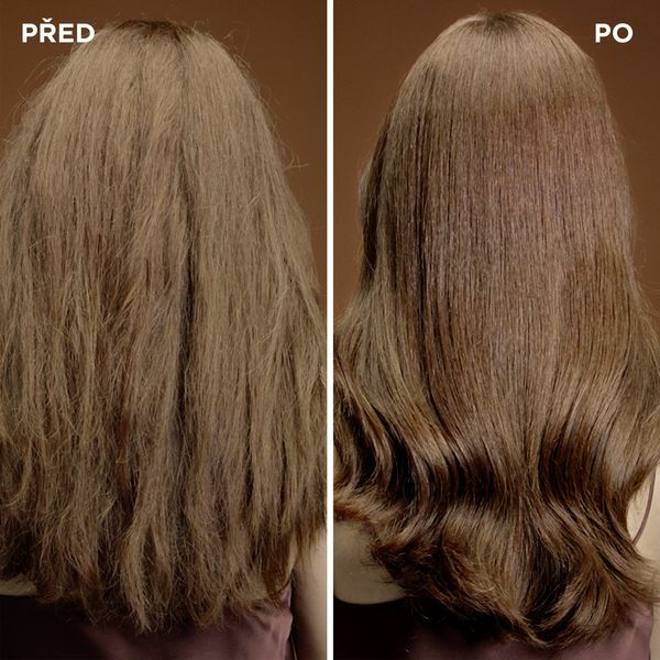 Garnier Regenerating mask for damaged hair Botanic Therapy Honey Treasure ( Hair Remedy) 340 ml 340ml atstatomoji plaukų priežiūros priemonė