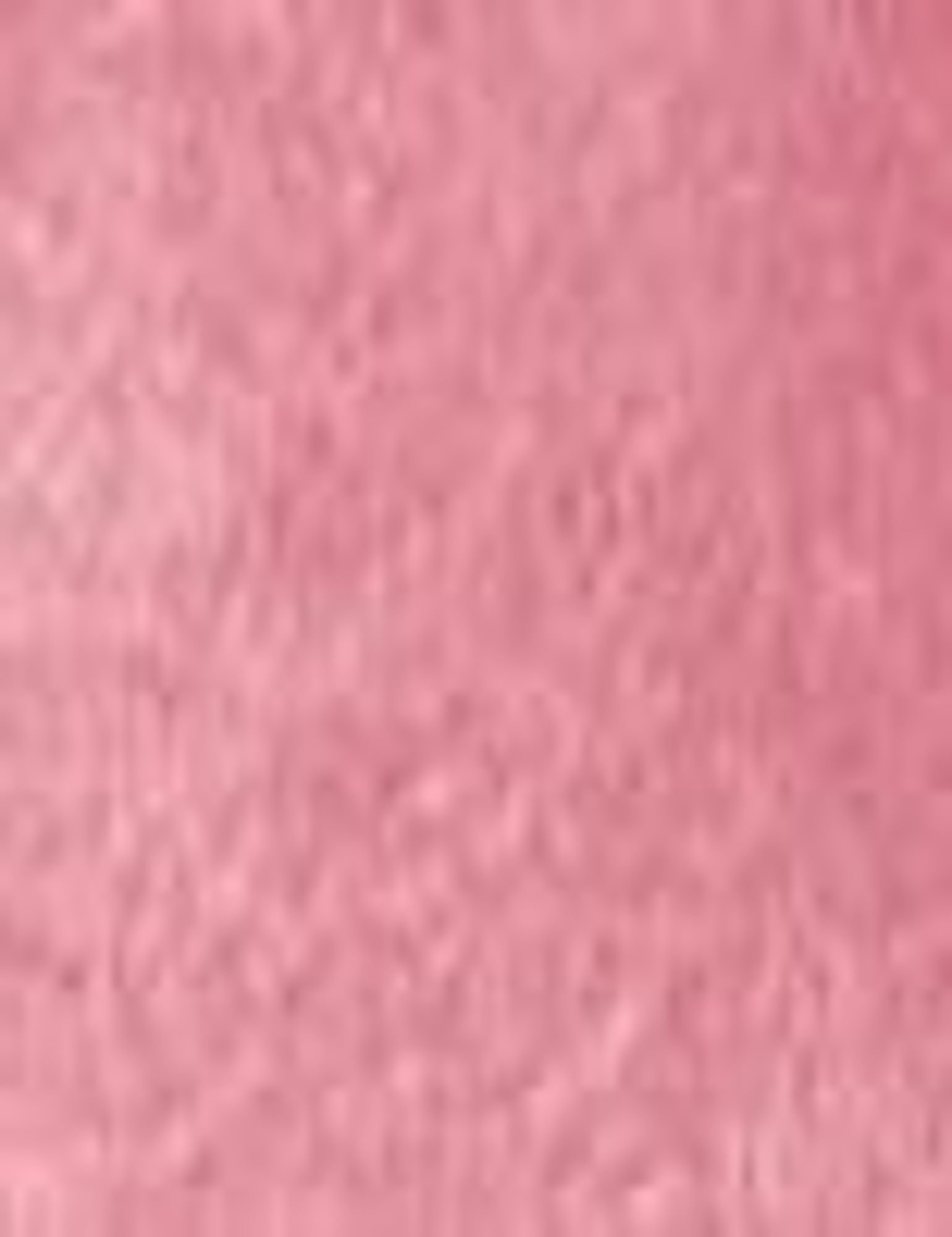 BOURJOIS Paris Little Round Pot 2,5g skaistalai