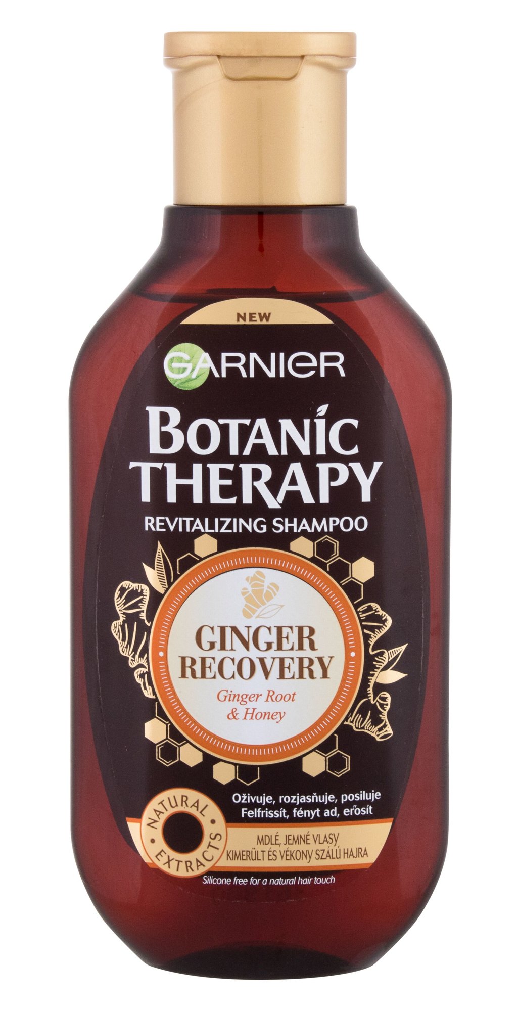 Garnier Botanic Therapy Ginger Recovery 250ml šampūnas
