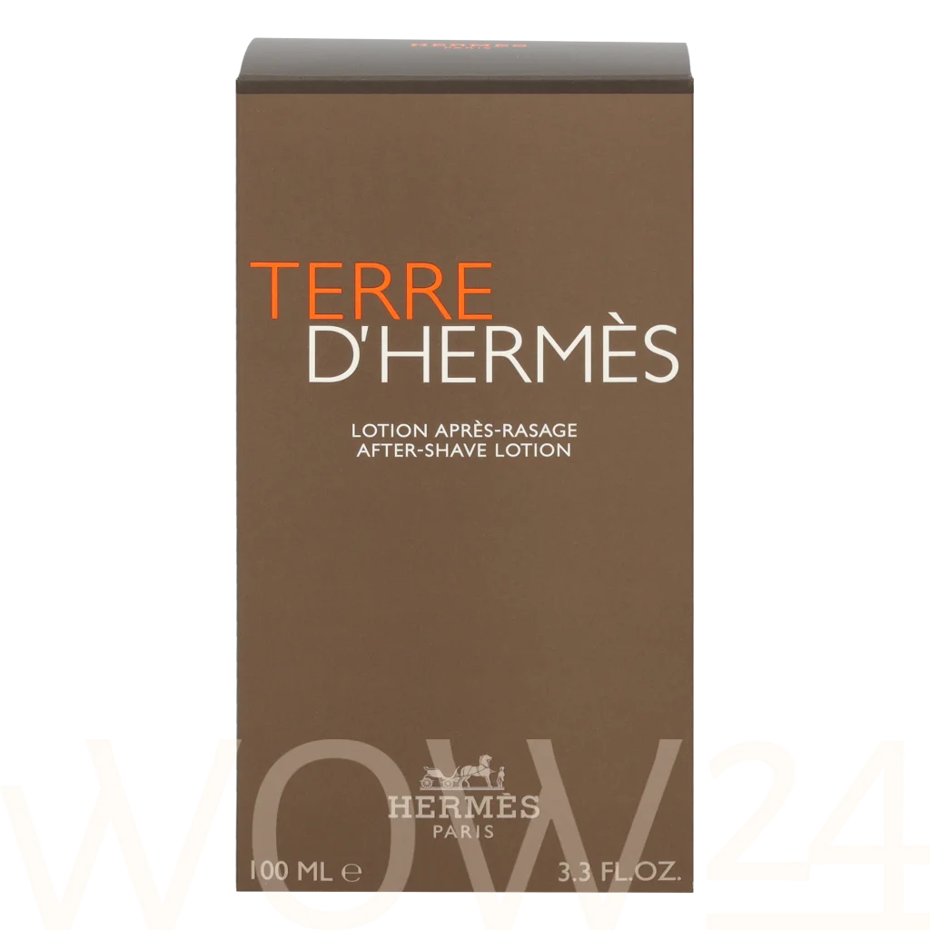 Hermes Hermes Terre D'Hermes After Shave Lotion 100 ml balzamas po skutimosi