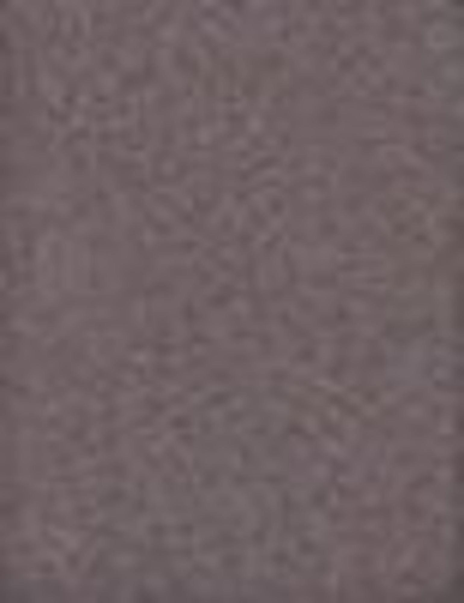 Artdeco Pearl 0,8g &scaron;e&scaron;ėliai