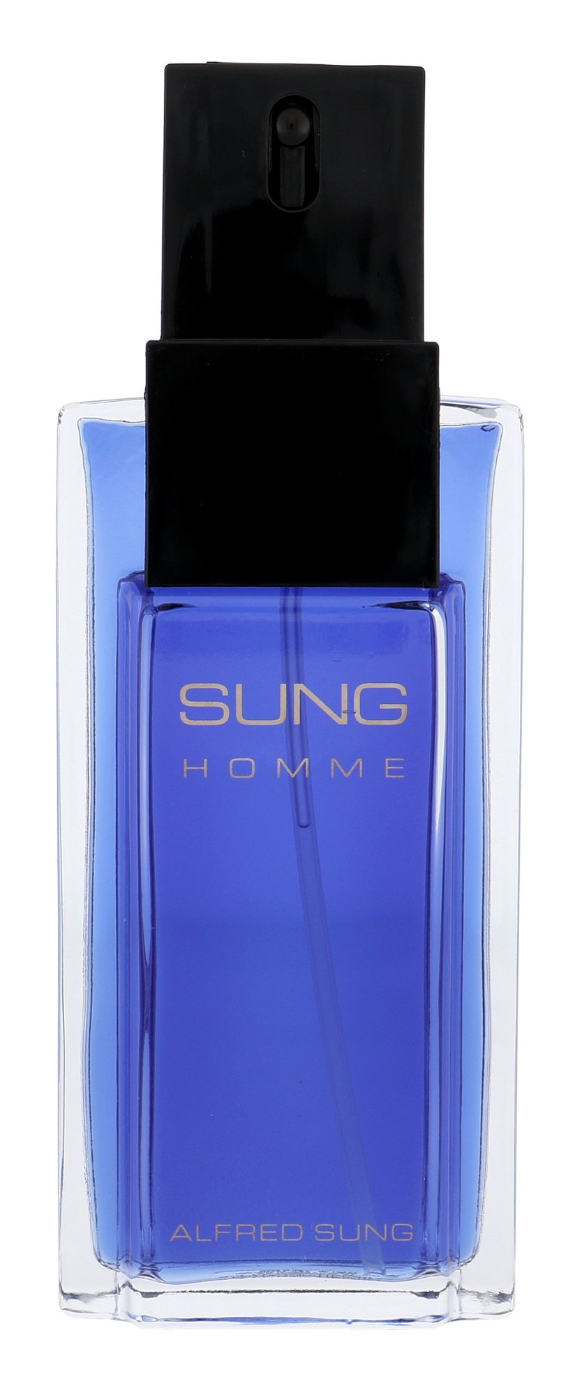 Alfred Sung Sung Homme 100ml Kvepalai Vyrams EDT