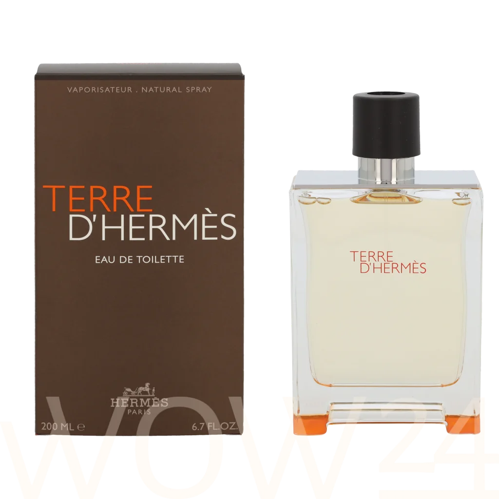 Hermes Hermes Terre D'Hermes Edt Spray 200 ml kvepalai Vyrams EDT