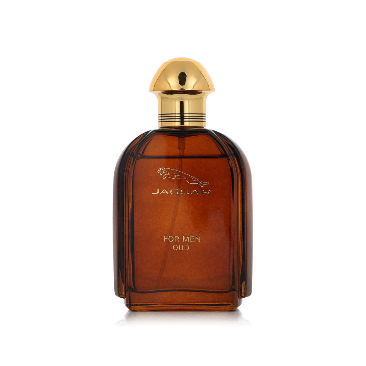 Jaguar For Men Oud Eau De Parfum Kvepalai Vyrams